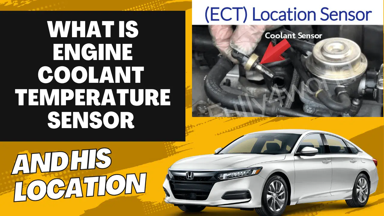ECT sensor location and his wiring diagram